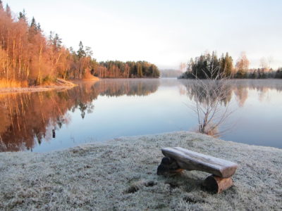 Stille dager i vinterferien